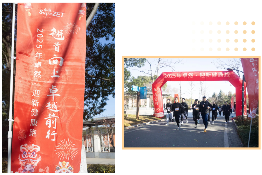 回望2024 启航2025 | 365速发国际股份2025年度战略年会顺利召开